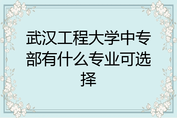 武汉工程大学中专部有什么专业可选择