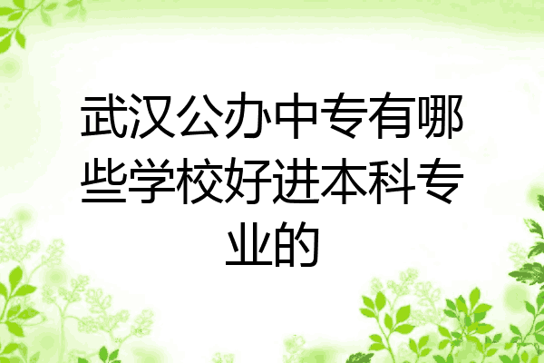 武汉公办中专有哪些学校好进本科专业的
