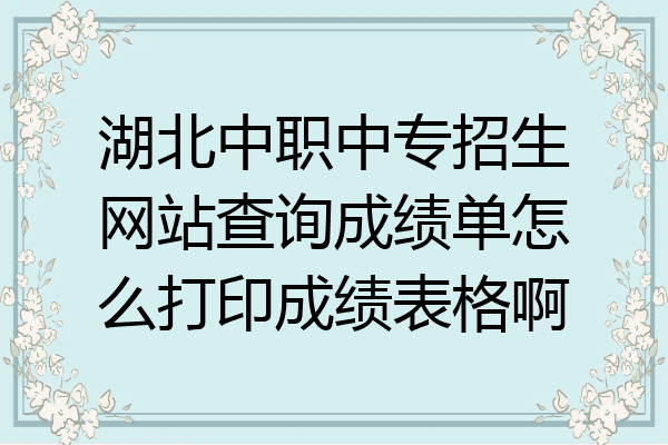 湖北中职中专招生网站查询成绩单怎么打印成绩表格啊
