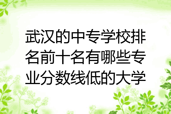 武汉的中专学校排名前十名有哪些专业分数线低的大学