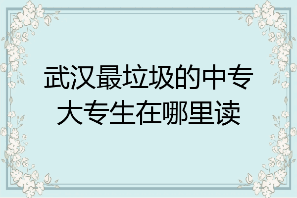 武汉最垃圾的中专大专生在哪里读