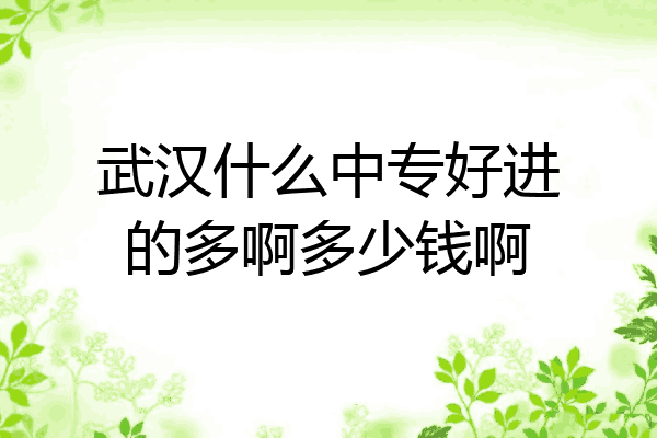 武汉什么中专好进的多啊多少钱啊