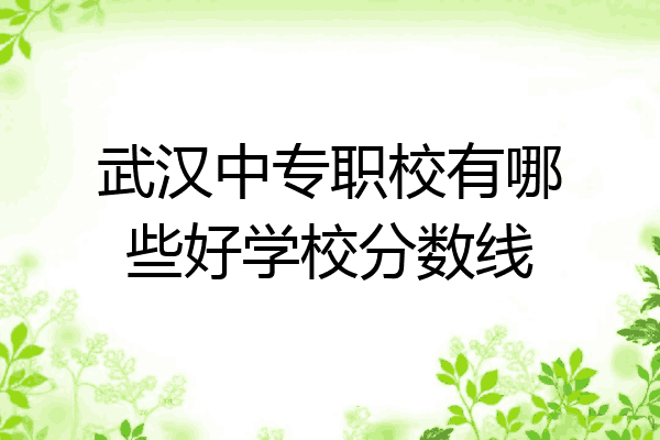 武汉中专职校有哪些好学校分数线