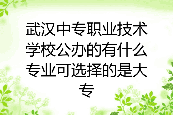 武汉中专职业技术学校公办的有什么专业可选择的是大专