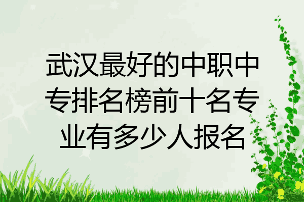 武汉最好的中职中专排名榜前十名专业有多少人报名