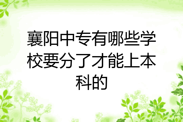 襄阳中专有哪些学校要分了才能上本科的