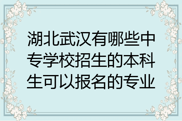 湖北武汉有哪些中专学校招生的本科生可以报名的专业