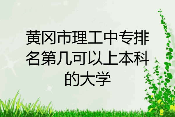 黄冈市理工中专排名第几可以上本科的大学