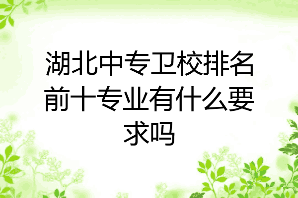 湖北中专卫校排名前十专业有什么要求吗