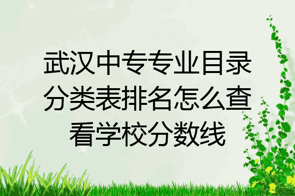 武汉中专专业目录分类表排名怎么查看学校分数线