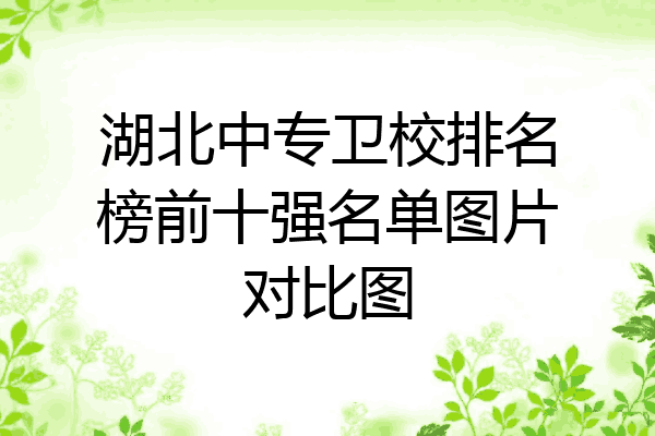 湖北中专卫校排名榜前十强名单图片对比图