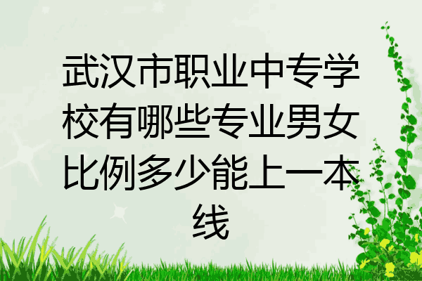 武汉市职业中专学校有哪些专业男女比例多少能上一本线