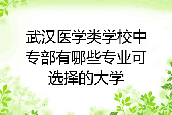 武汉医学类学校中专部有哪些专业可选择的大学