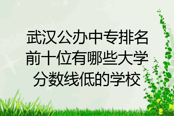 武汉公办中专排名前十位有哪些大学分数线低的学校
