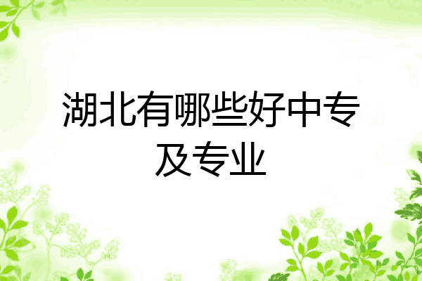 湖北有哪些好中专及专业