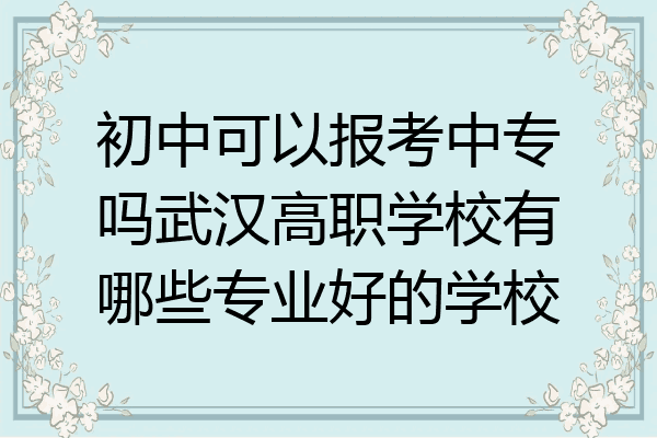 初中可以报考中专吗武汉高职学校有哪些专业好的学校