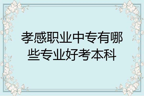 孝感职业中专有哪些专业好考本科