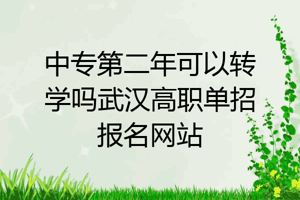 中专第二年可以转学吗武汉高职单招报名网站