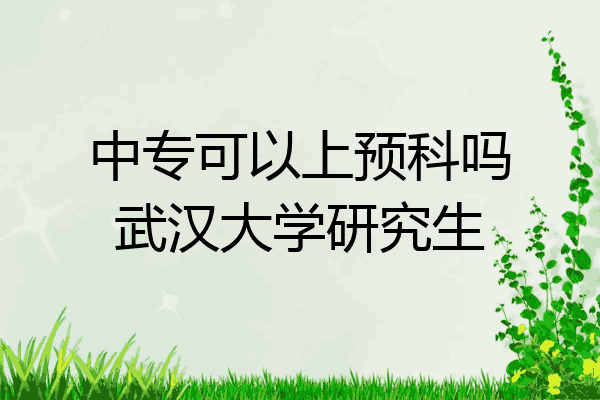中专可以上预科吗武汉大学研究生