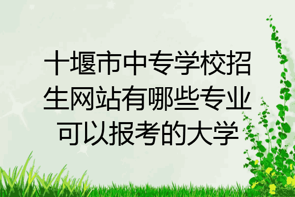 十堰市中专学校招生网站有哪些专业可以报考的大学