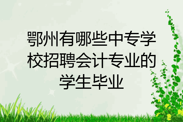 鄂州有哪些中专学校招聘会计专业的学生毕业