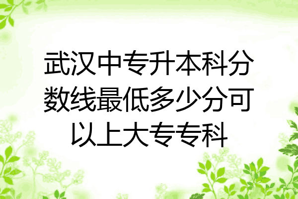 武汉中专升本科分数线最低多少分可以上大专专科