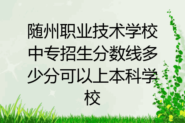 随州职业技术学校中专招生分数线多少分可以上本科学校