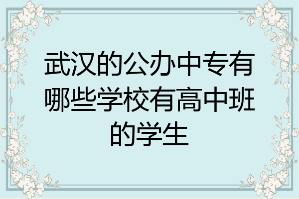 武汉的公办中专有哪些学校有高中班的学生