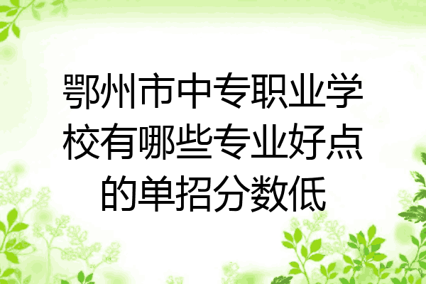 鄂州市中专职业学校有哪些专业好点的单招分数低