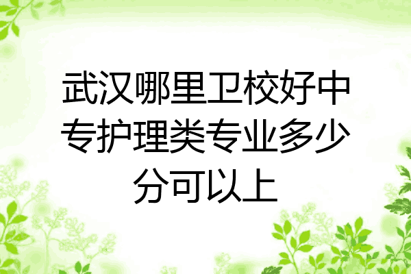 武汉哪里卫校好中专护理类专业多少分可以上