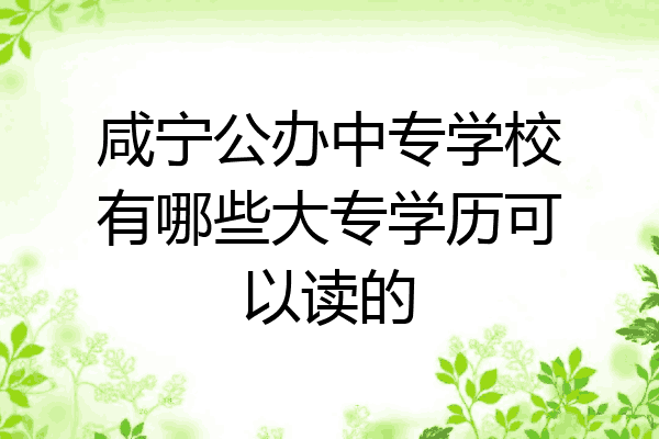 咸宁公办中专学校有哪些大专学历可以读的