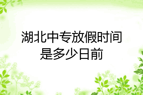 湖北中专放假时间是多少日前