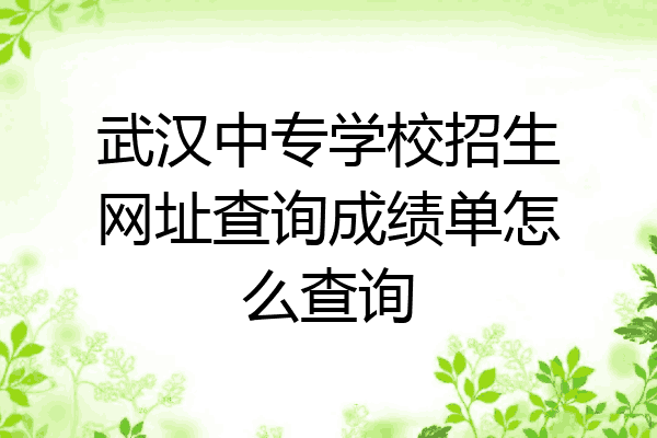 武汉中专学校招生网址查询成绩单怎么查询