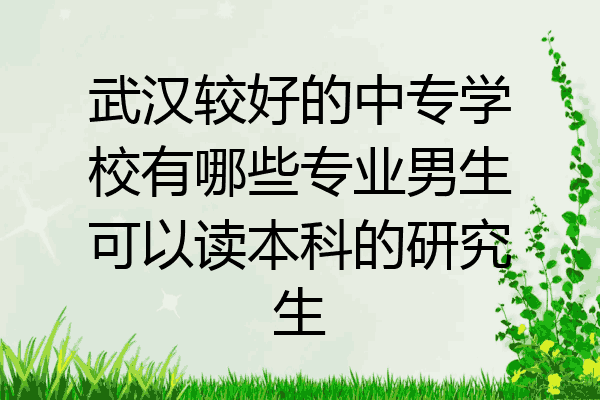 武汉较好的中专学校有哪些专业男生可以读本科的研究生