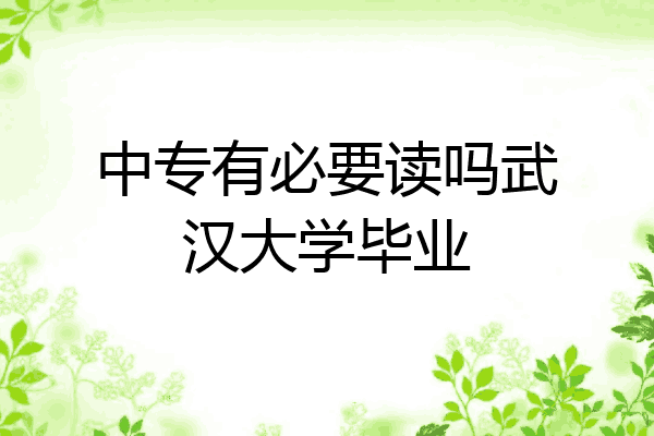 中专有必要读吗武汉大学毕业