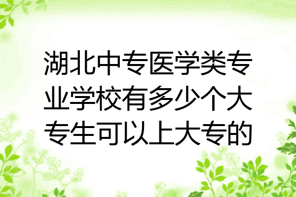 湖北中专医学类专业学校有多少个大专生可以上大专的