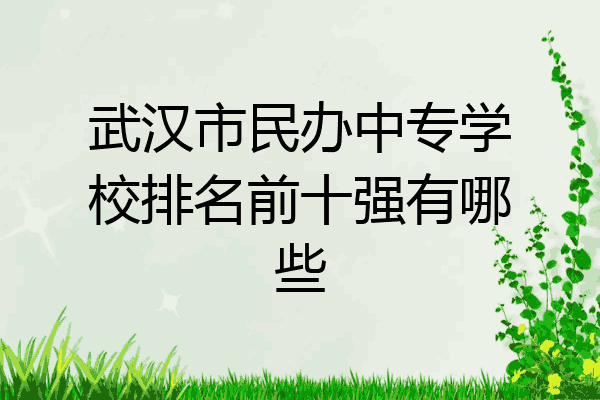 武汉市民办中专学校排名前十强有哪些