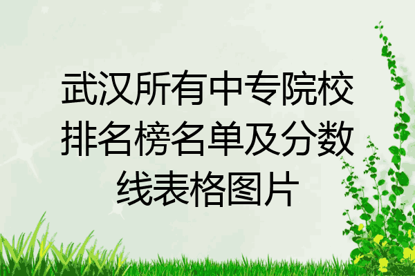 武汉所有中专院校排名榜名单及分数线表格图片
