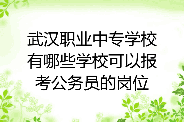 武汉职业中专学校有哪些学校可以报考公务员的岗位