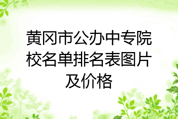 黄冈市公办中专院校名单排名表图片及价格