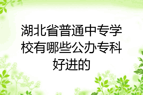 湖北省普通中专学校有哪些公办专科好进的