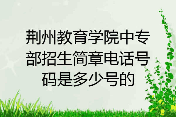 荆州教育学院中专部招生简章电话号码是多少号的