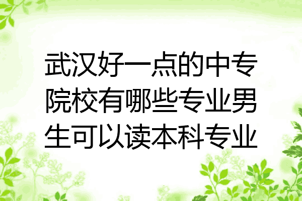 武汉好一点的中专院校有哪些专业男生可以读本科专业