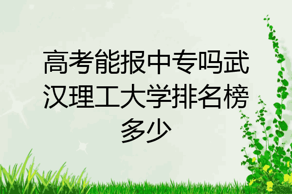 高考能报中专吗武汉理工大学排名榜多少