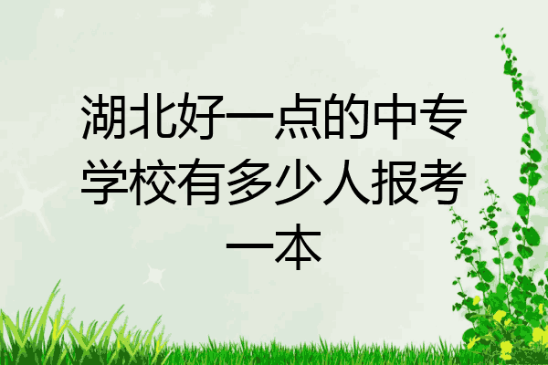 湖北好一点的中专学校有多少人报考一本
