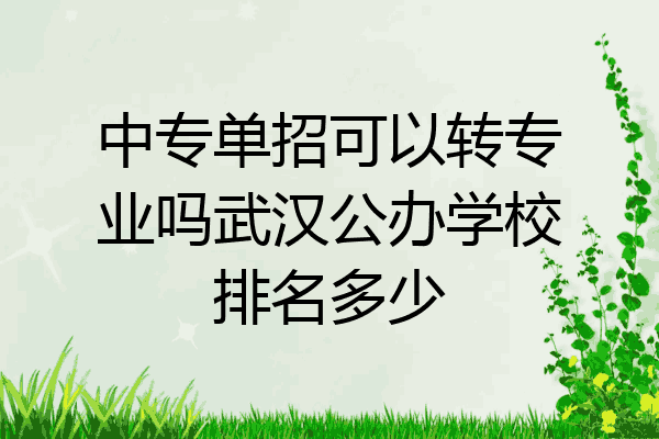 中专单招可以转专业吗武汉公办学校排名多少