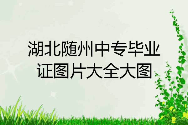 湖北随州中专毕业证图片大全大图