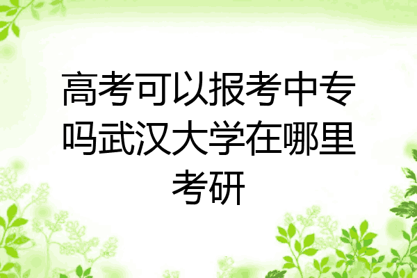 高考可以报考中专吗武汉大学在哪里考研