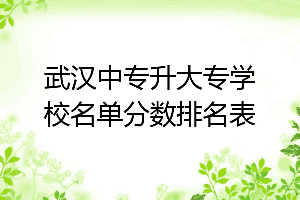 武汉中专升大专学校名单分数排名表
