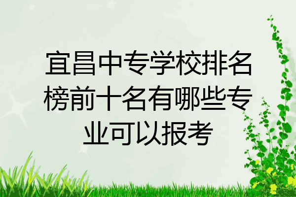 宜昌中专学校排名榜前十名有哪些专业可以报考